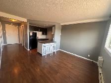 Bright bachelor suite for rent_west college park - Photo 5