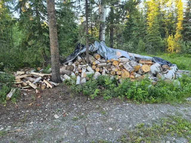 Birch Firewood