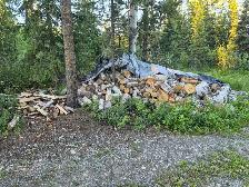 Birch Firewood