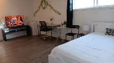 $860/ MONTH: EXTRA BIG PRIVATE ROOM FOR RENT