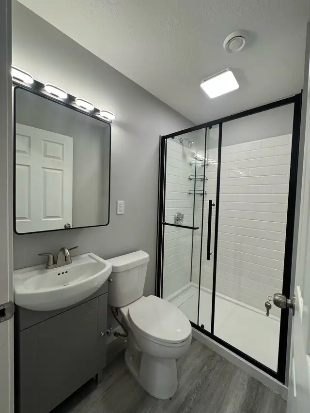residential /commercial renovation