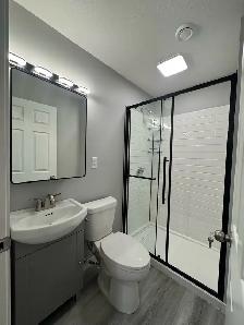 residential /commercial renovation