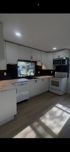 residential /commercial renovation - Photo 8