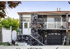 3 bedroom house for rent