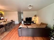 Appartement 3 1/2 à Louer - Drummondville - Photo 3