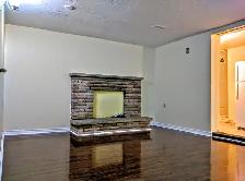 Walkout Basement Apartment for Rent