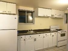 Walkout Basement Apartment for Rent - Photo 7