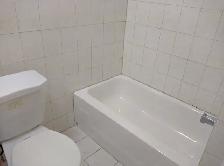 Walkout Basement Apartment for Rent - Photo 9