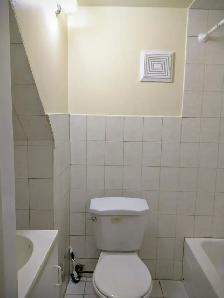Walkout Basement Apartment for Rent - Photo 10