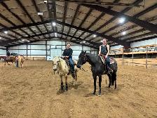 Western Pleasure 2018 AQHA Gelding - Photo 8