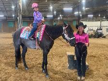 Western Pleasure 2018 AQHA Gelding - Photo 6