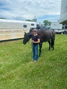 Western Pleasure 2018 AQHA Gelding - Photo 8