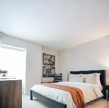 Talbot Terrace - Wortley Apartment for Rent - Photo 7