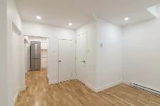 renovated studio apartment near Guy-Concordia - ID 2696 - Photo 7