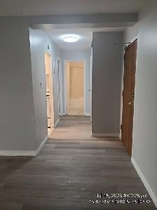 SPACIOUS ONE BEDROOM WITH BALCONY-WATERLOO ON - Photo 2