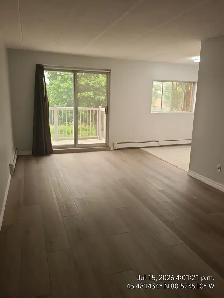 SPACIOUS ONE BEDROOM WITH BALCONY-WATERLOO ON - Photo 3