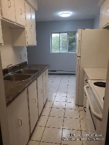SPACIOUS ONE BEDROOM WITH BALCONY-WATERLOO ON - Photo 4