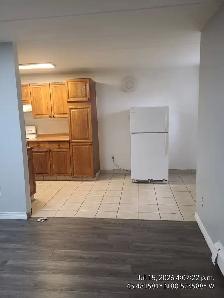 UPDATED ONE BEDROOM APARTMENT ON REGINA ST. N - Photo 3