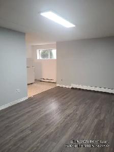 UPDATED ONE BEDROOM APARTMENT ON REGINA ST. N - Photo 7