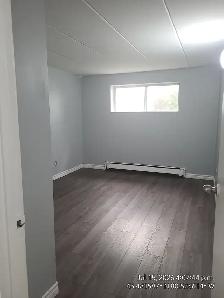 UPDATED ONE BEDROOM APARTMENT ON REGINA ST. N - Photo 13