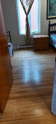Room For Girls,Near Metro Plamondon/PARC/Monk/Frontnec - Photo 6