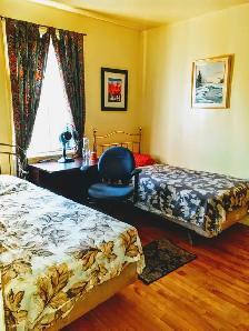 Room For Girls,Near Metro Plamondon/PARC/Monk/Frontnec - Photo 10