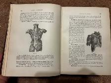 Antique Book - Health & Longevity 1909 - Photo 4