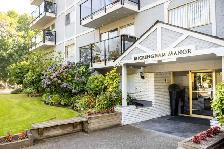 Buckingham Manor - Bachelor available at 967 Collinson Street, V