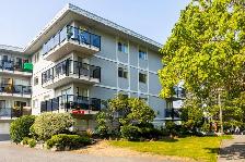 Buckingham Manor - Bachelor available at 967 Collinson Street, V - Photo 6