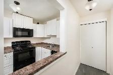 Central Park - 1 Bedroom Apartment for Rent - Photo 2
