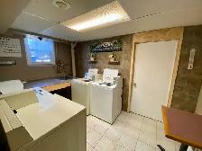 2 Bedroom Apartment Just Steps from the Niagara River! - Photo 11