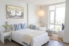 Special Offer Available Studio Home in West End! - Photo 2