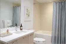 Special Offer Available Studio Home in West End! - Photo 8