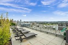 Special Offer Available Studio Home in West End! - Photo 14