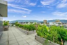 Special Offer Available Studio Home in West End! - Photo 15