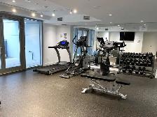 Special Offer Available Studio Home in West End! - Photo 16