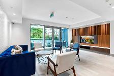 Special Offer Available Studio Home in West End! - Photo 18