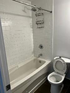 Stunning High-Floor 1 Bedroom with Unobstructed Lake Views - Photo 8