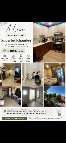 4 1/2 apartment for Rent, 10 min walk from Metro Pie IX