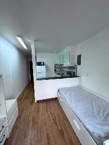 Downtown Near McGill All Included Furnitured Studio for Rent !! - Photo 4