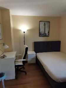 Single bedroom near York University in NY rent to Female only - Photo 8