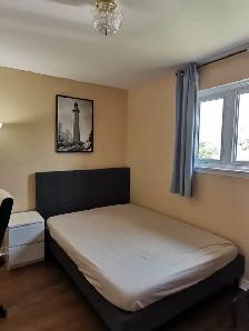 Single bedroom near York University in NY rent to Female only - Photo 9