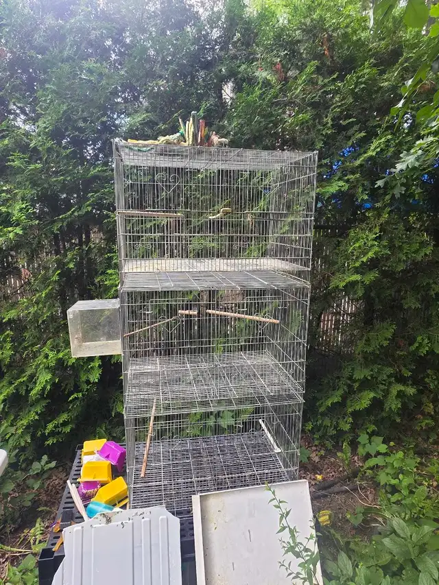 cages et accessoires dans le jardins