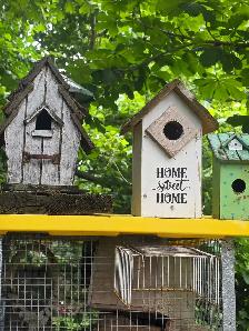 cages et accessoires dans le jardins - Photo 2