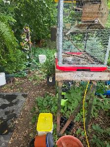 cages et accessoires dans le jardins - Photo 3