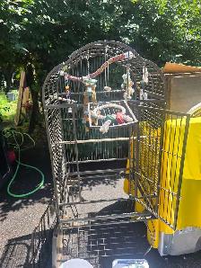 cages et accessoires dans le jardins - Photo 6