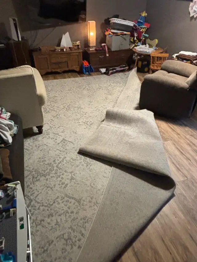 area rug