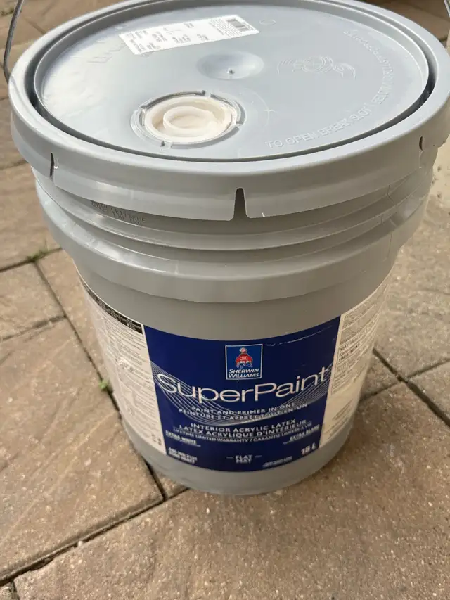 looking for a professional painter
