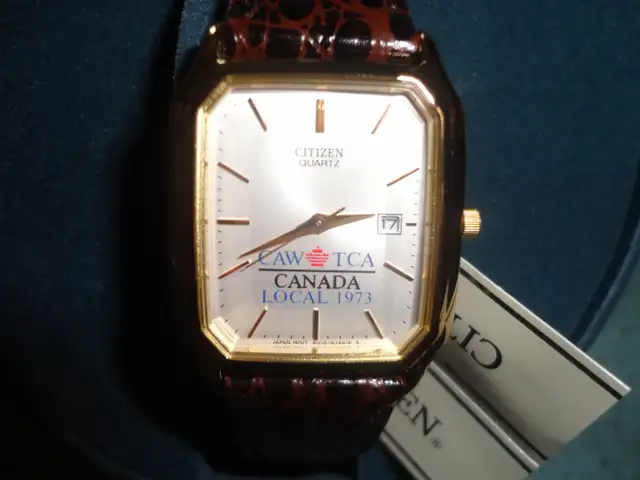 EXCELLENT CITIZEN WATCH  WITH DATES  $45
