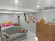 furnished 1 bed room basement - August 1
